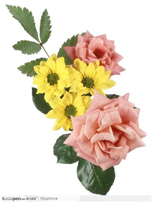 PSD花束-黄色花三朵,粉色色月季花两朵