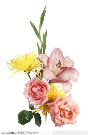 PSD花束-粉玫瑰,香水百合,黄菊花,月季