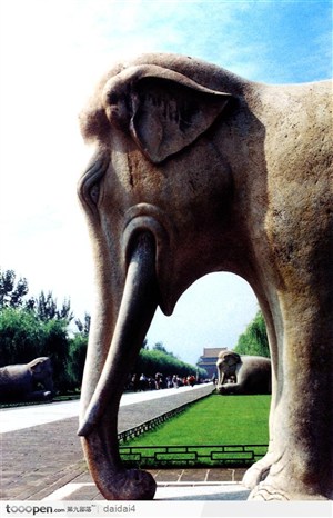 明十三陵-神兽石象
