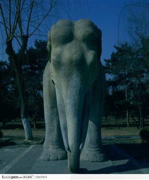 明十三陵-正面的石大象