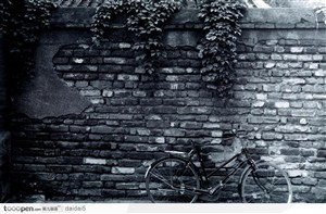 北京印象-胡同墙壁和自行车