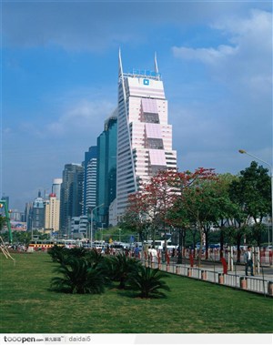 远眺深圳发展银行大楼