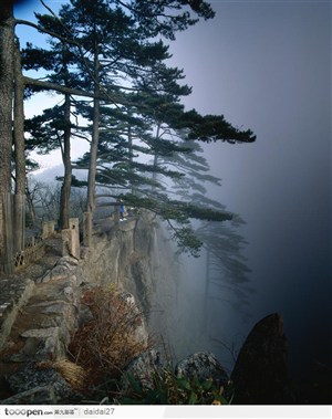 黄山风景-美丽的松雾
