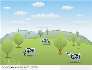 牧草农场中的奶牛