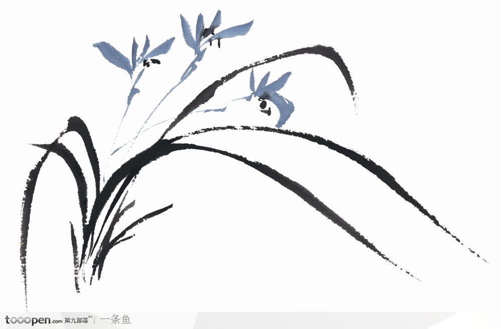 百花-蘭花