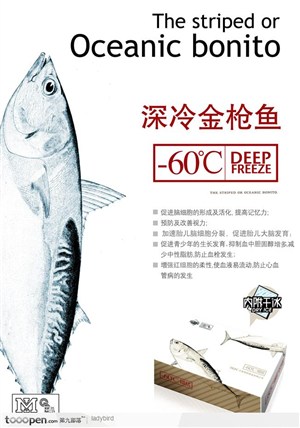 速冻鱼肉海报招贴设计 PSD
