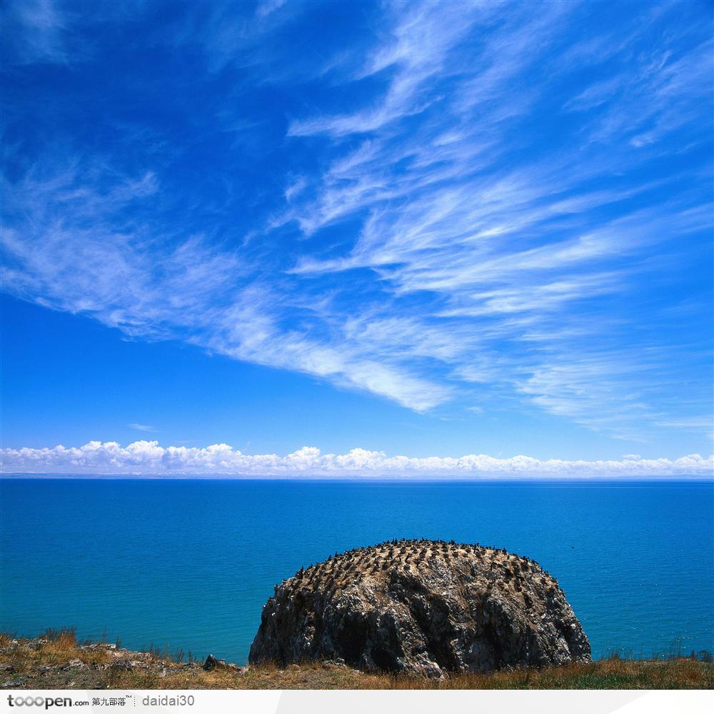 青海省-蓝天下的青海湖鸟岛