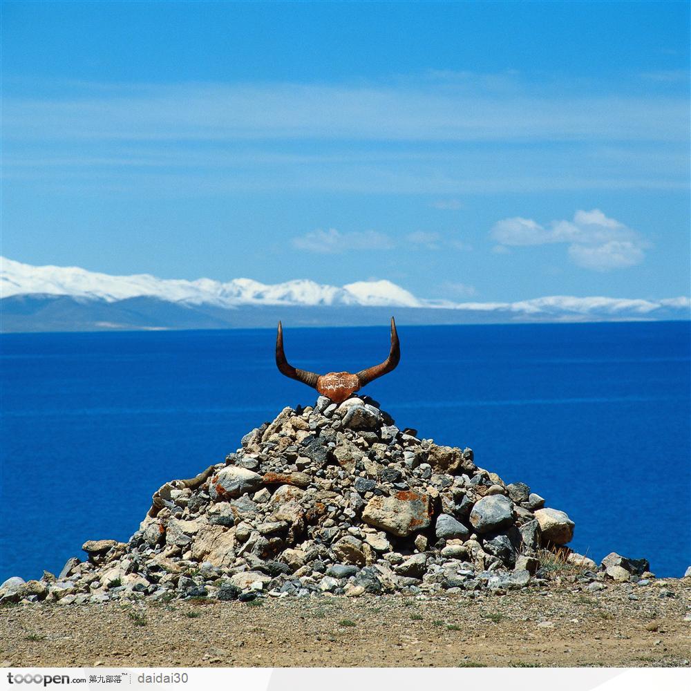 西藏圣湖-西藏纳木措湖牛头骨