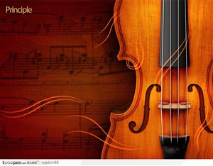 小提琴乐器提琴