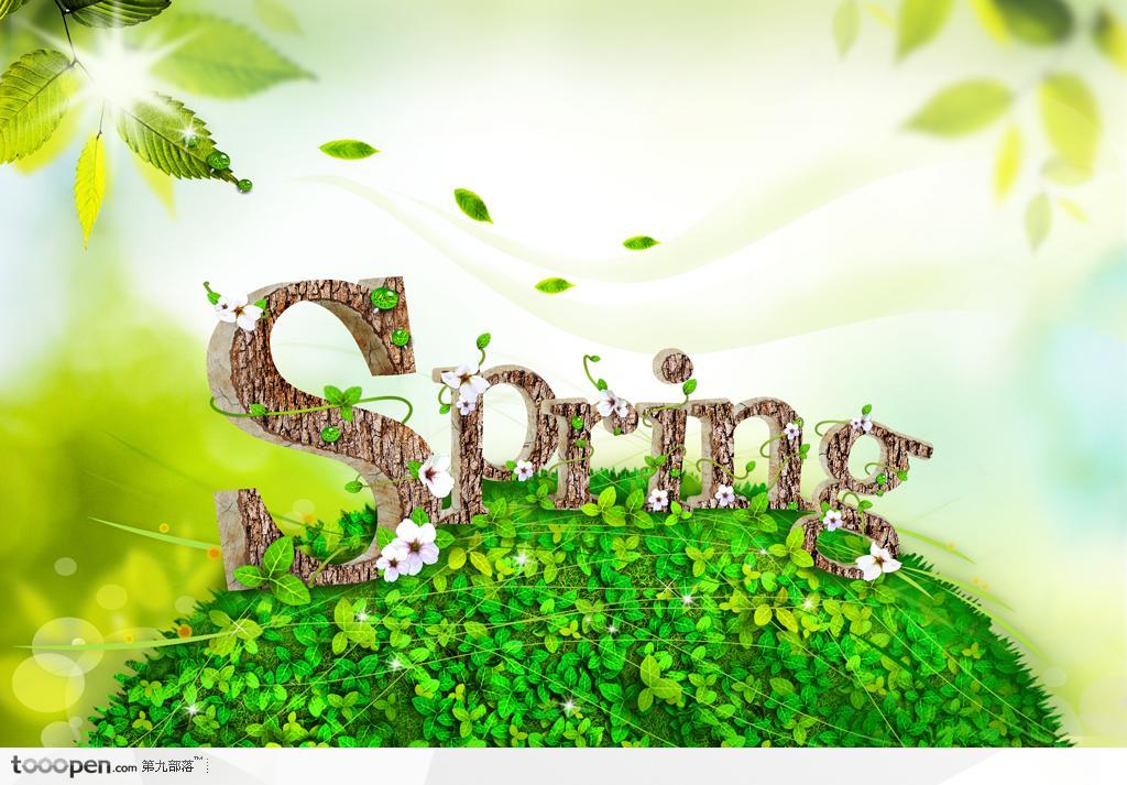 创意字体设计-花纹字体spring