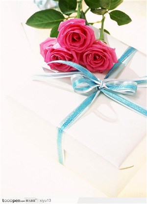 情人节礼物-白色礼盒和玫瑰