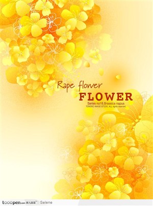 金色花卉华丽情人节卡片背景