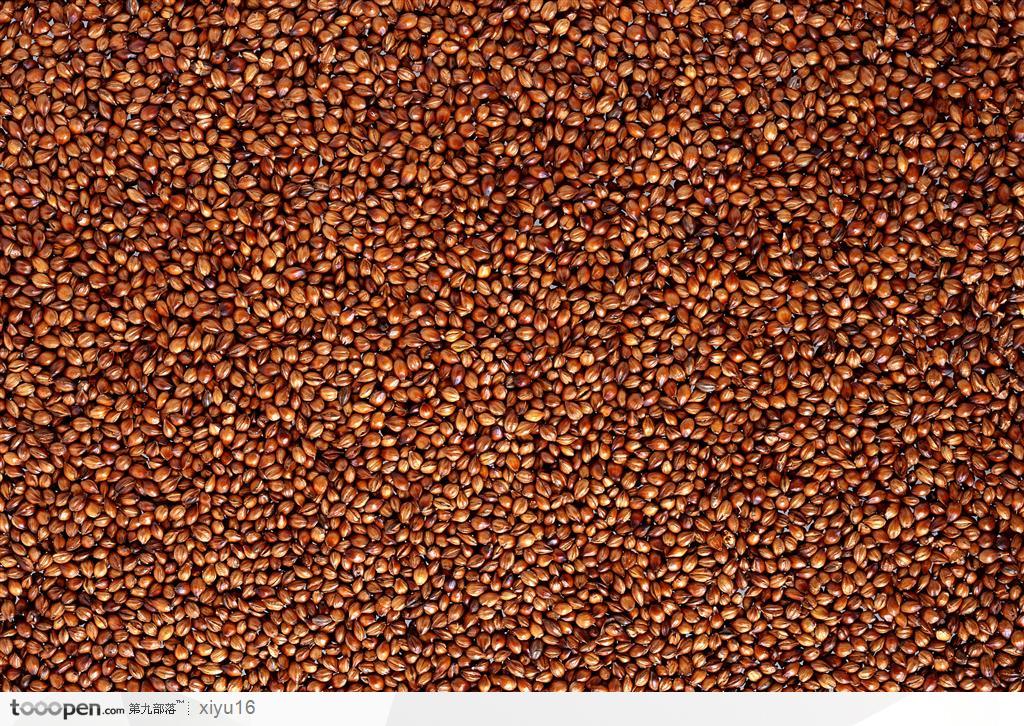 食物背景-褐色的小米