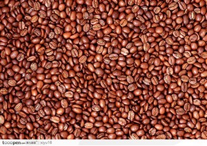 食物背景-发亮的咖啡豆