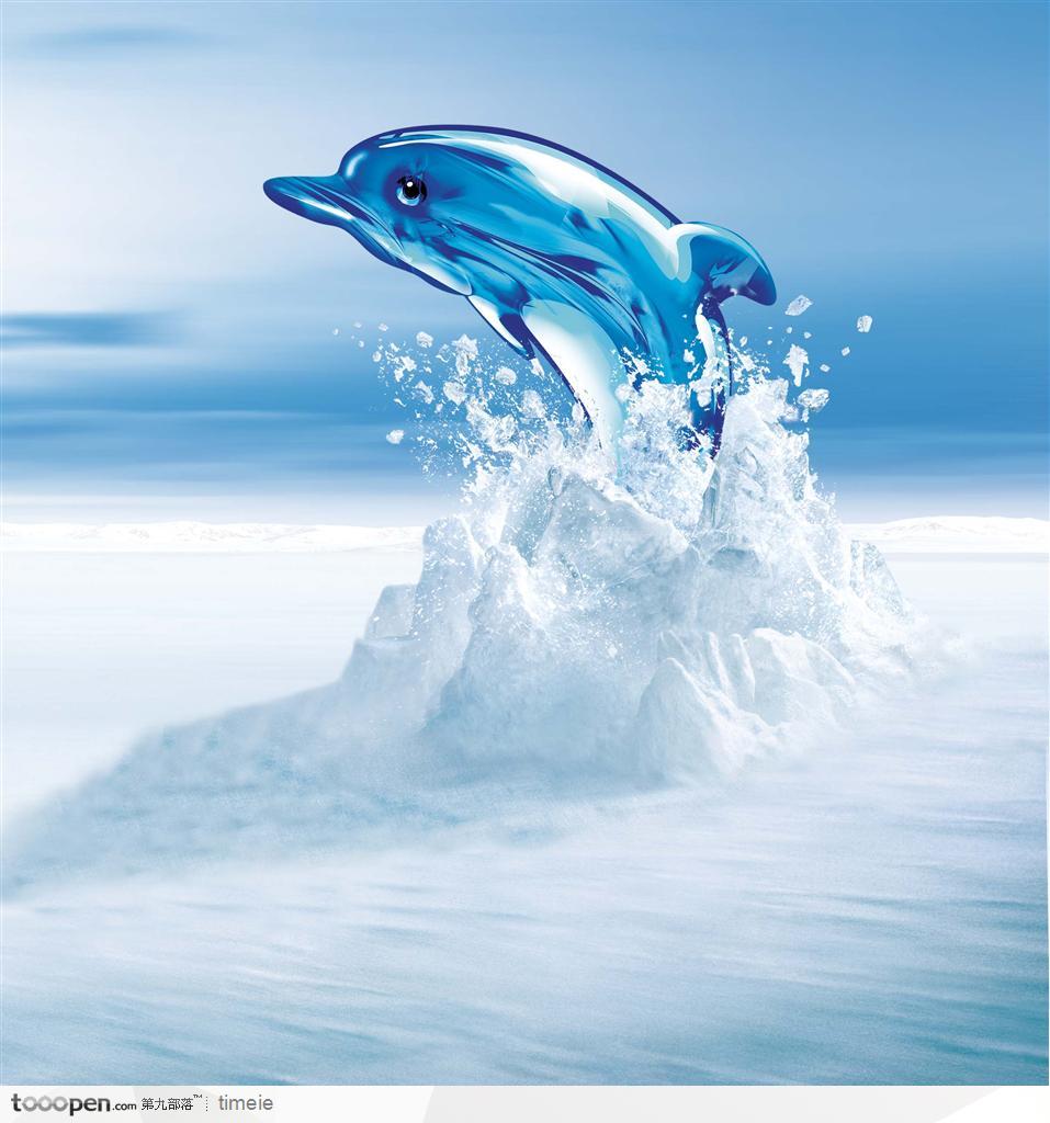 海豚 海豚破冰越水 冰层