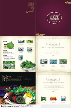 百年食品公司画册设计