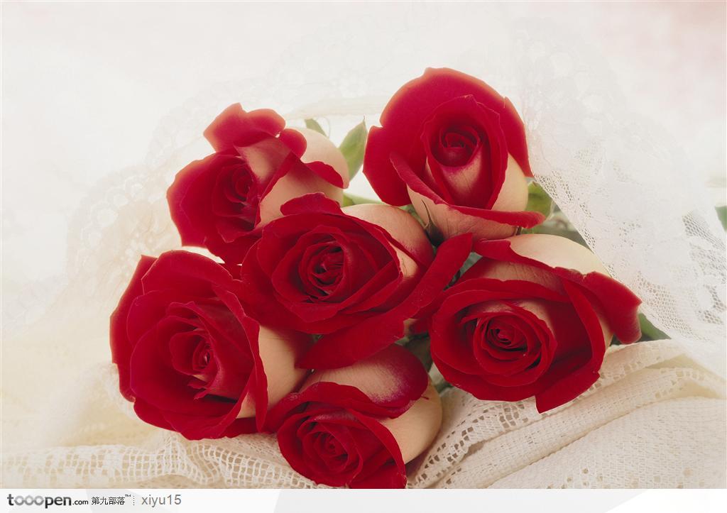 情人节物语-鲜红的玫瑰