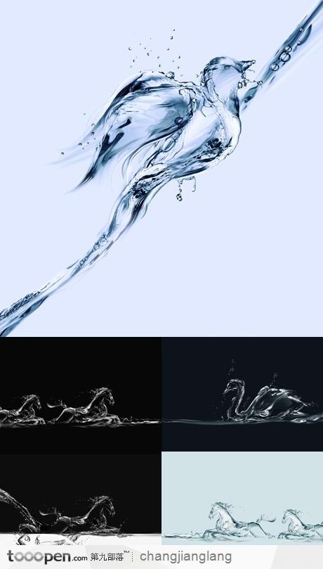 水柱水花拼成的马 白天鹅 鸟等动物形态素材5张