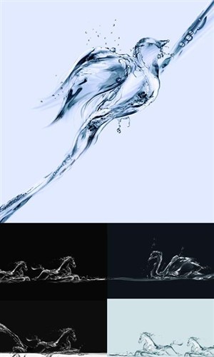水柱水花拼成的马 白天鹅 鸟等动物形态素材5张