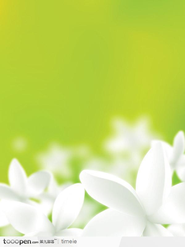 画册底纹背景--嫩绿背景下的白花