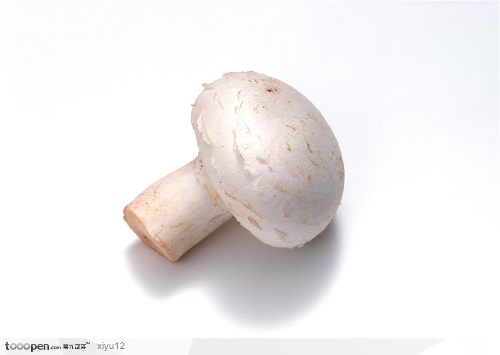 蔬菜瓜果-小巧的白蘑菇