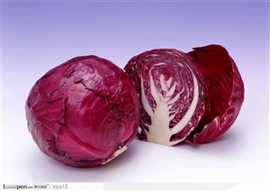 蔬菜瓜果-漂亮的紫包菜