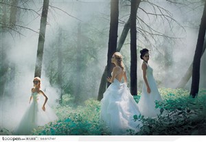 在树林中三个穿白色婚纱晚礼服的美女