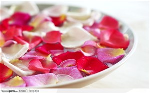 SPA美容静物用品--盘中的玫瑰花瓣