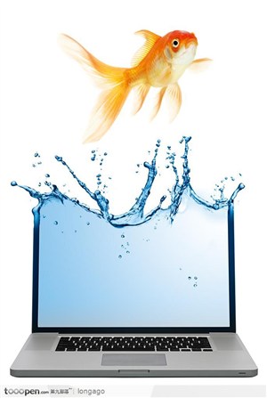 广告创意画面--从笔记本电脑变成的水缸中跳跃起来的金鱼