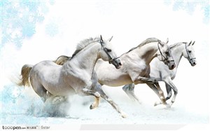 三匹正在奔腾的白色骏马图片
