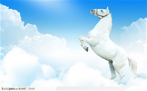 杨起前蹄站立起来的白色骏马