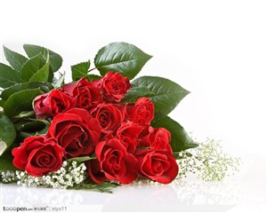情人节物语-一束红色的玫瑰花