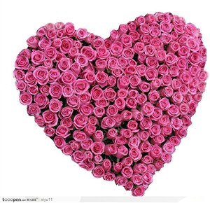 情人节物语-心形的玫瑰花