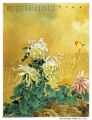 中国画 工笔菊花图片