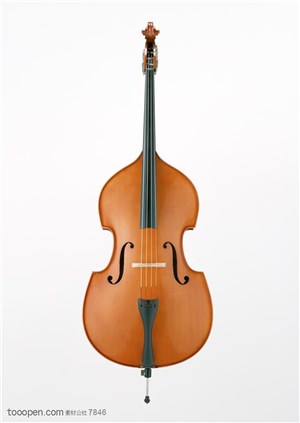 乐器小提琴-大提琴正面特写