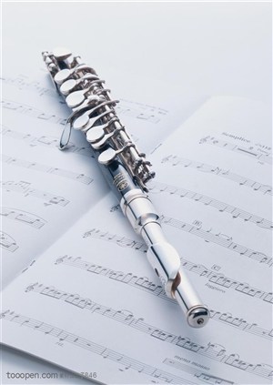 乐器-竖着放在乐谱中间的笛子