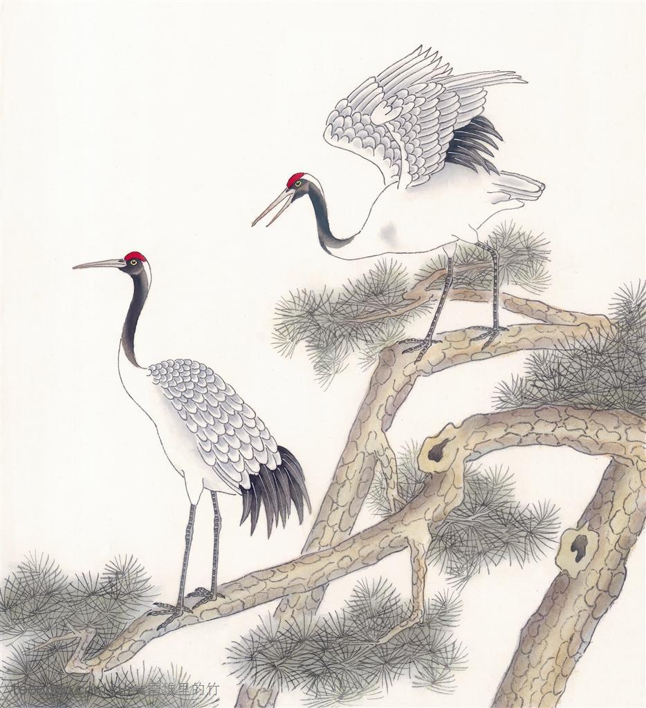 中国国画之两只站在树枝上的仙鹤