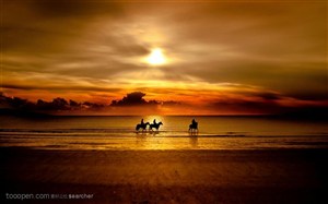 金色朝霞或夕阳里的海滩上骑马的人