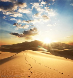 户外运动-沙漠上的脚印