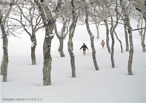 滑雪运动-树林间的滑雪者