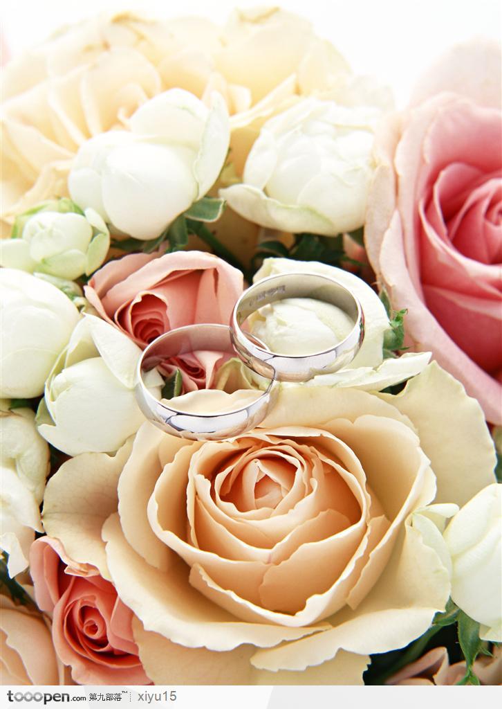 情人节物语-玫瑰花上的戒指