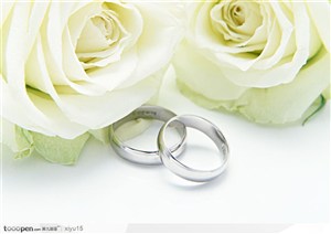 情人节物语-白色的玫瑰与戒指