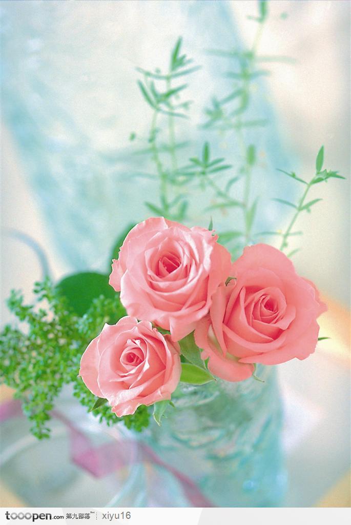 情人节花物语-三朵粉色的玫瑰