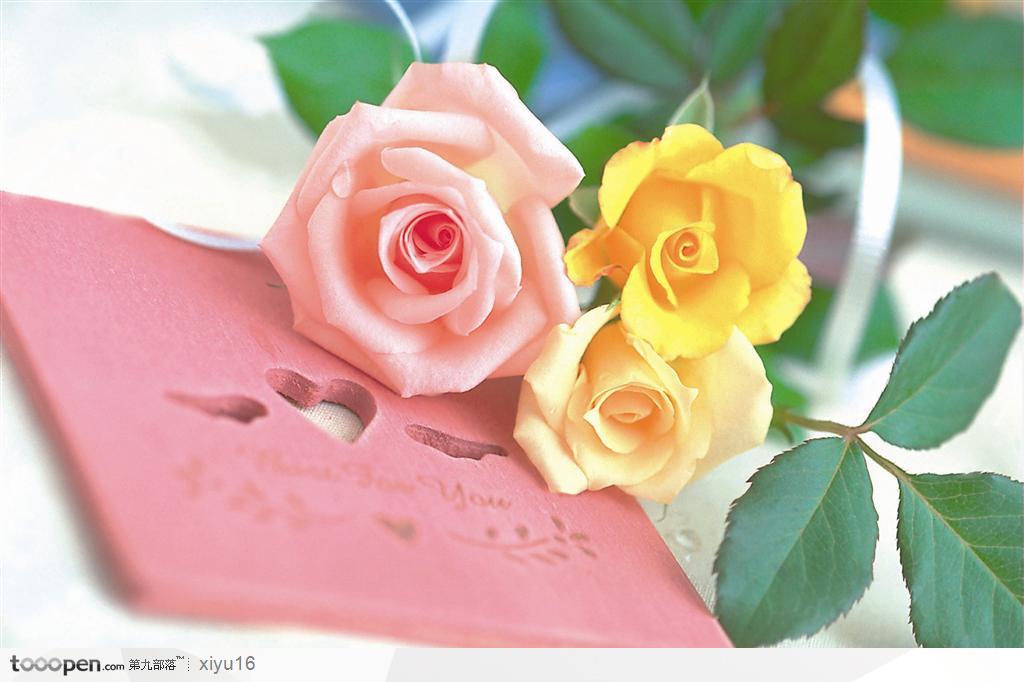 情人节花物语-明信片上的玫瑰