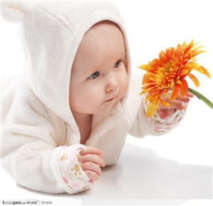 拿着太阳菊的可爱婴儿图片