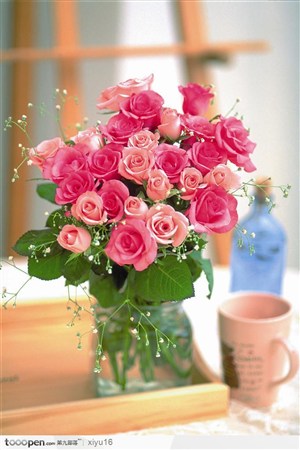 情人节花物语-窗台上的玫瑰