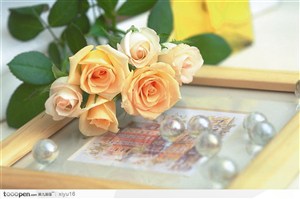 情人节花物语-相框上的黄色玫瑰