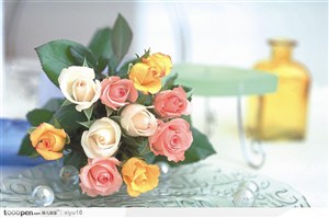 情人节花物语-一束漂亮的玫瑰