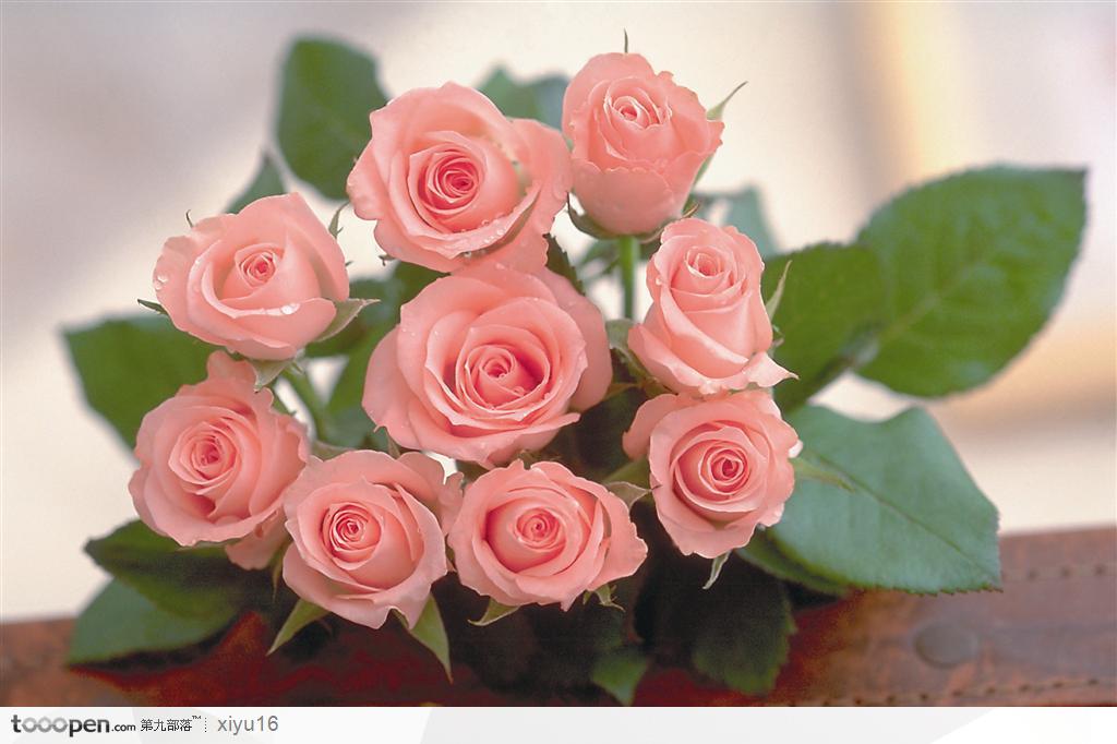 情人节花物语-桌面上的玫瑰