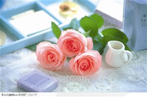情人节花物语-桌面上的粉色玫瑰